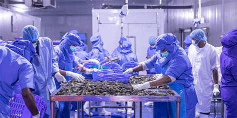 ASC releases supplementary requirements for Chain of Custody.